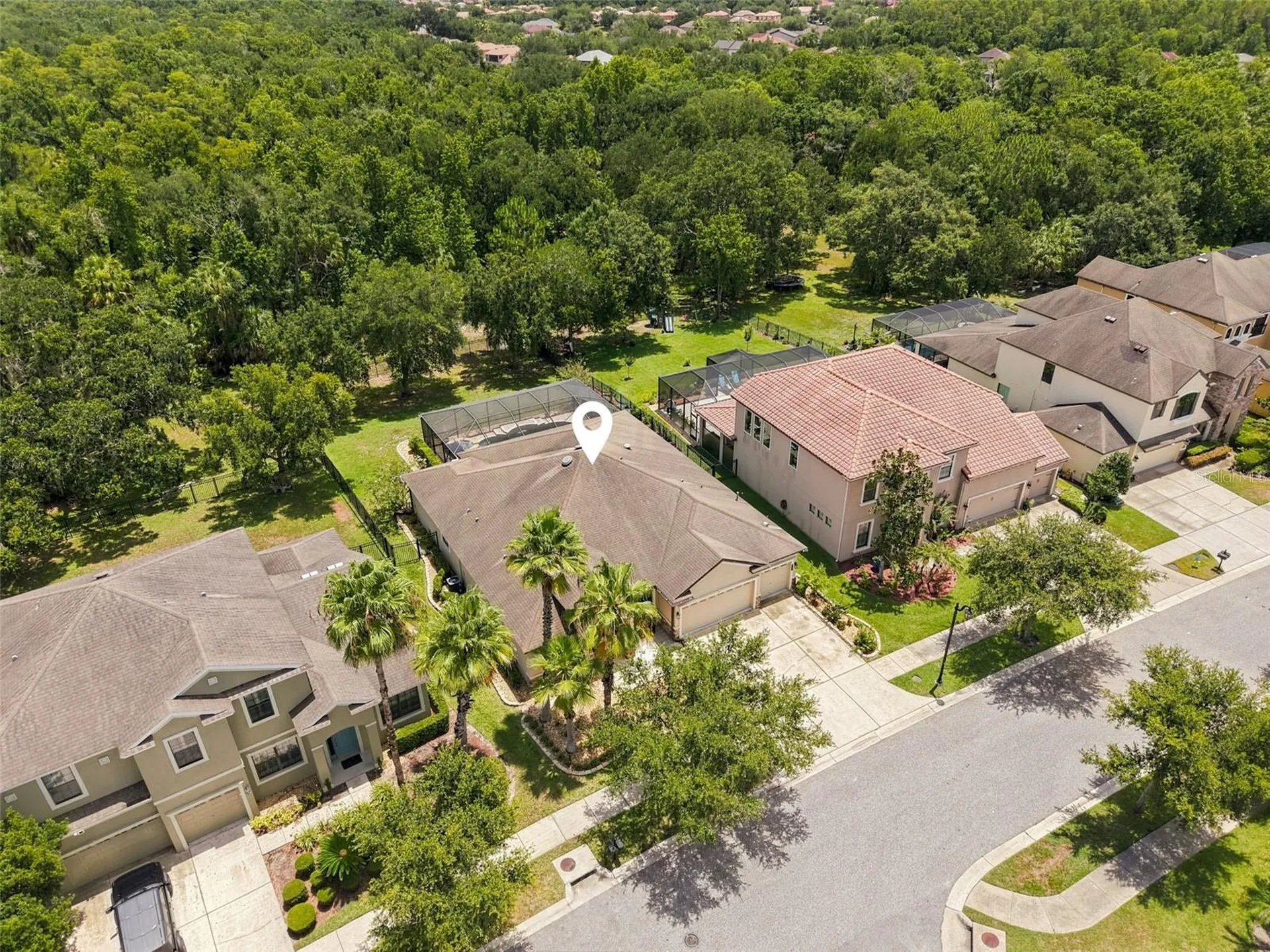 7929 Hampton Lake Drive Tampa FL 33647