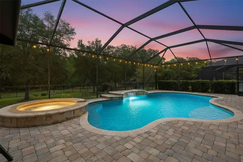 7929 Hampton Lake Drive Tampa FL 33647