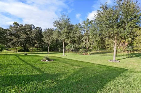 7929 Hampton Lake Drive Tampa FL 33647