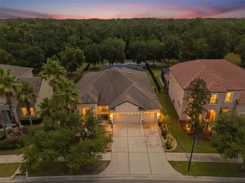 7929 Hampton Lake Drive Tampa FL 33647