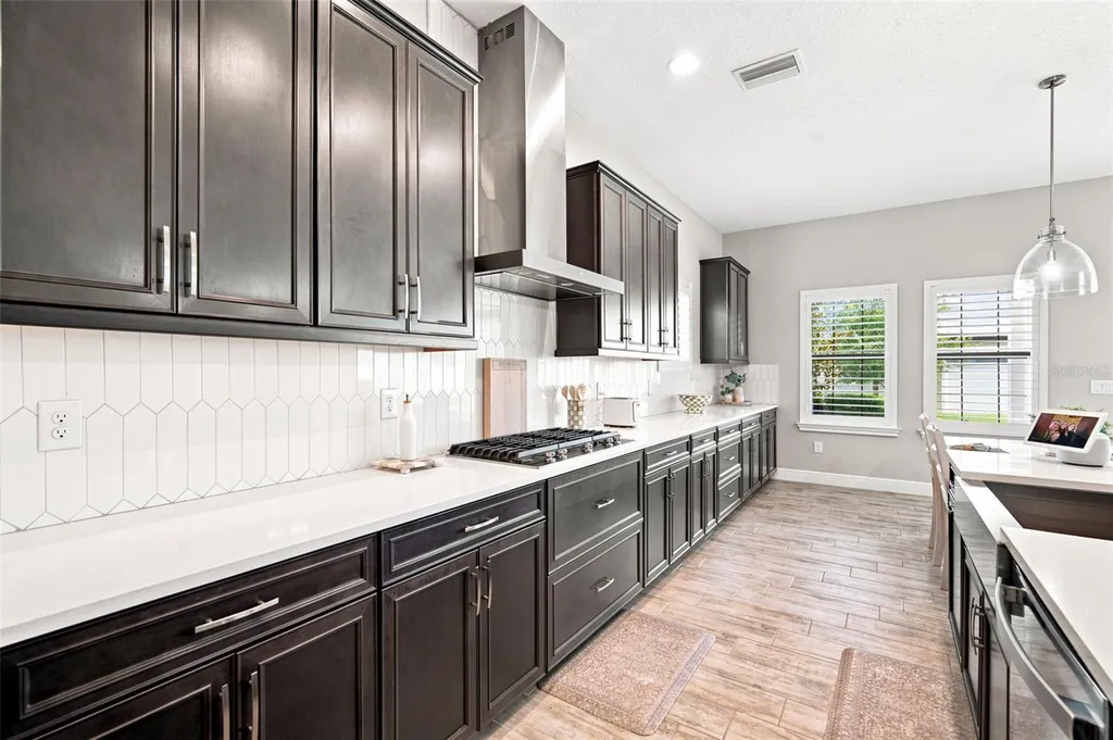 4587 Shoreleaf Loop Valrico FL 33596