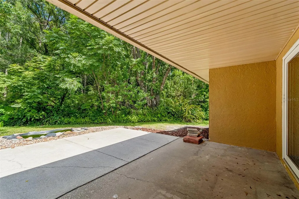 15109 Springview Street Tampa FL 33624