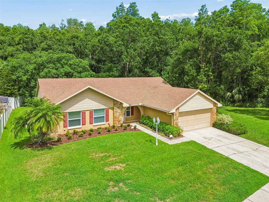 15109 Springview Street Tampa FL 33624