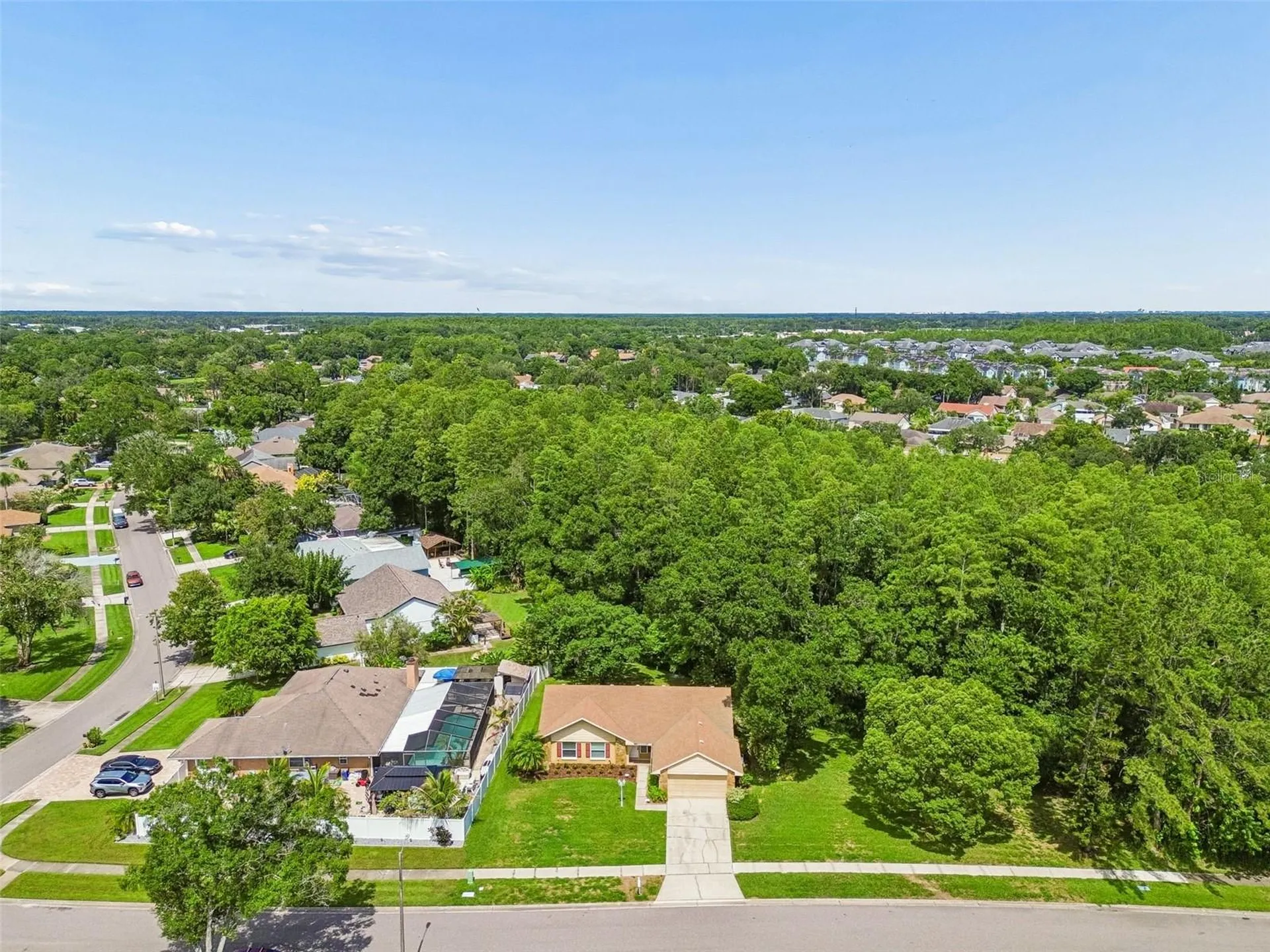 15109 Springview Street Tampa FL 33624