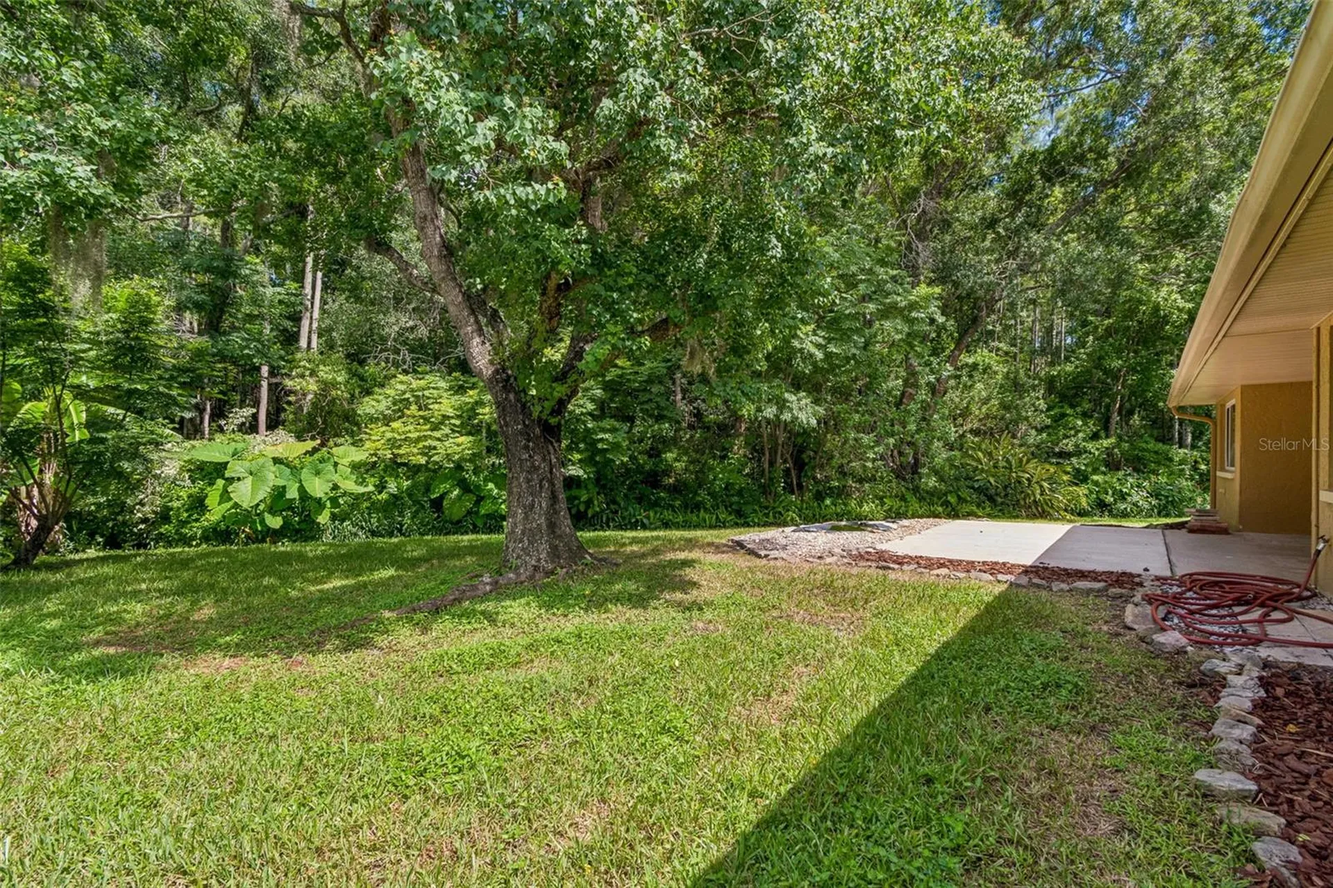 15109 Springview Street Tampa FL 33624