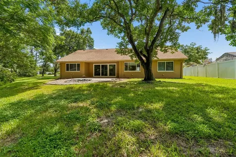 15109 Springview Street Tampa FL 33624