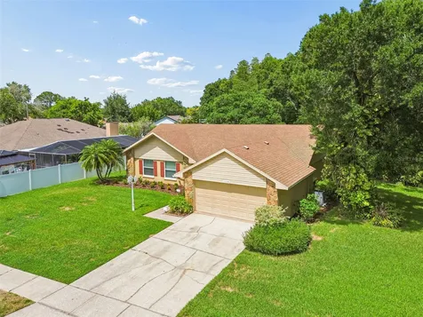 15109 Springview Street Tampa FL 33624