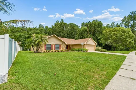 15109 Springview Street Tampa FL 33624