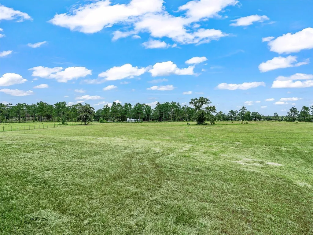 14461 SE 80th Street Morriston FL 32668