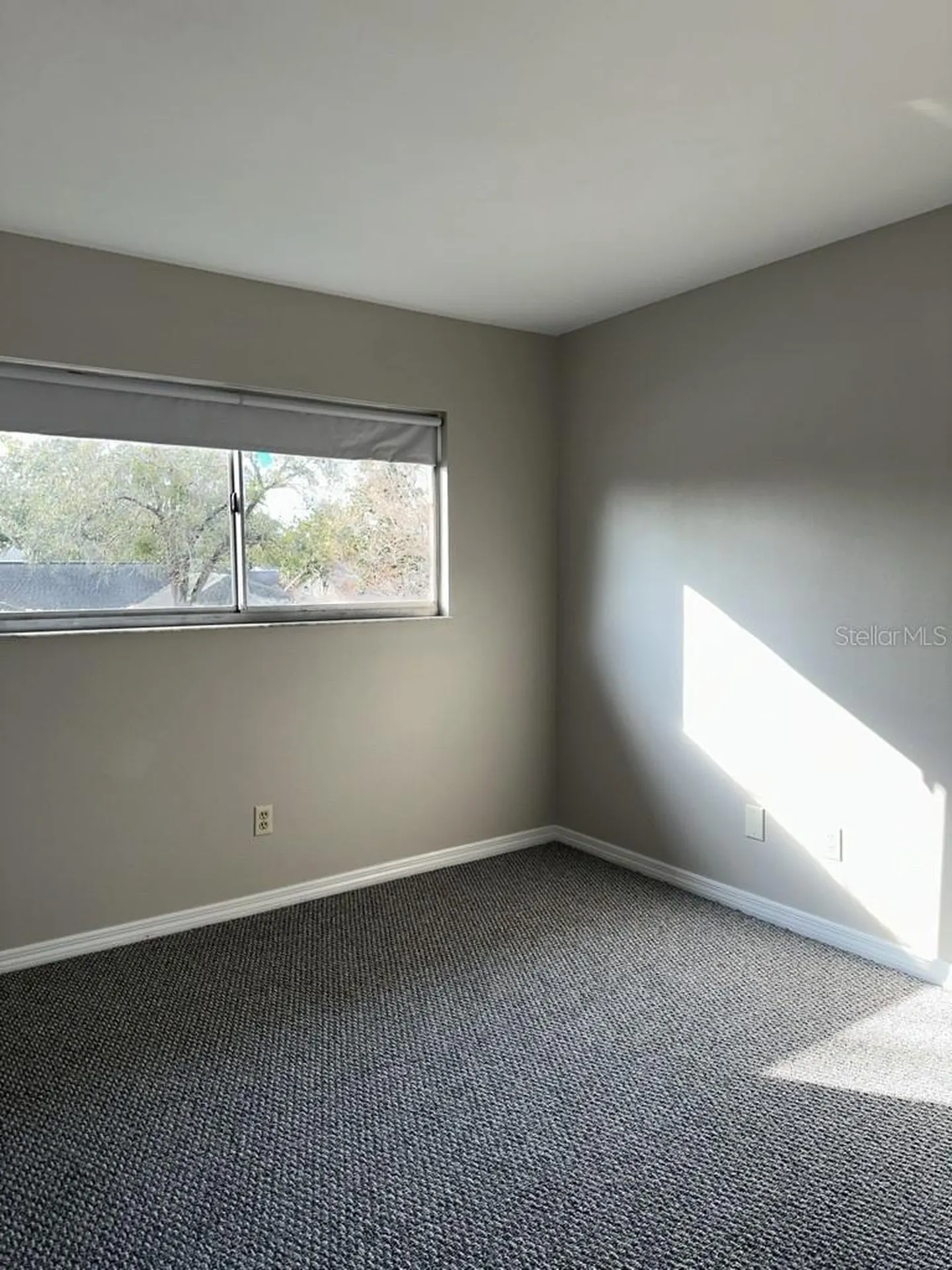 17608 Shadyside Circle Lutz FL 33549