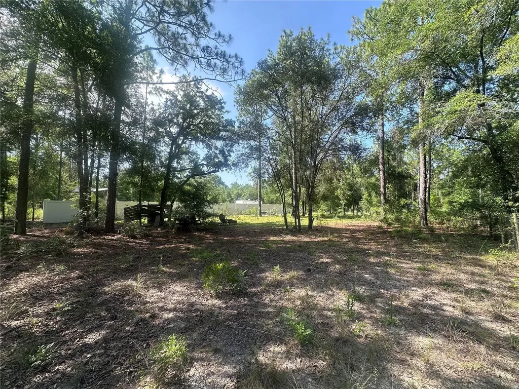 Tbd NE 3rd Place Williston FL 32696