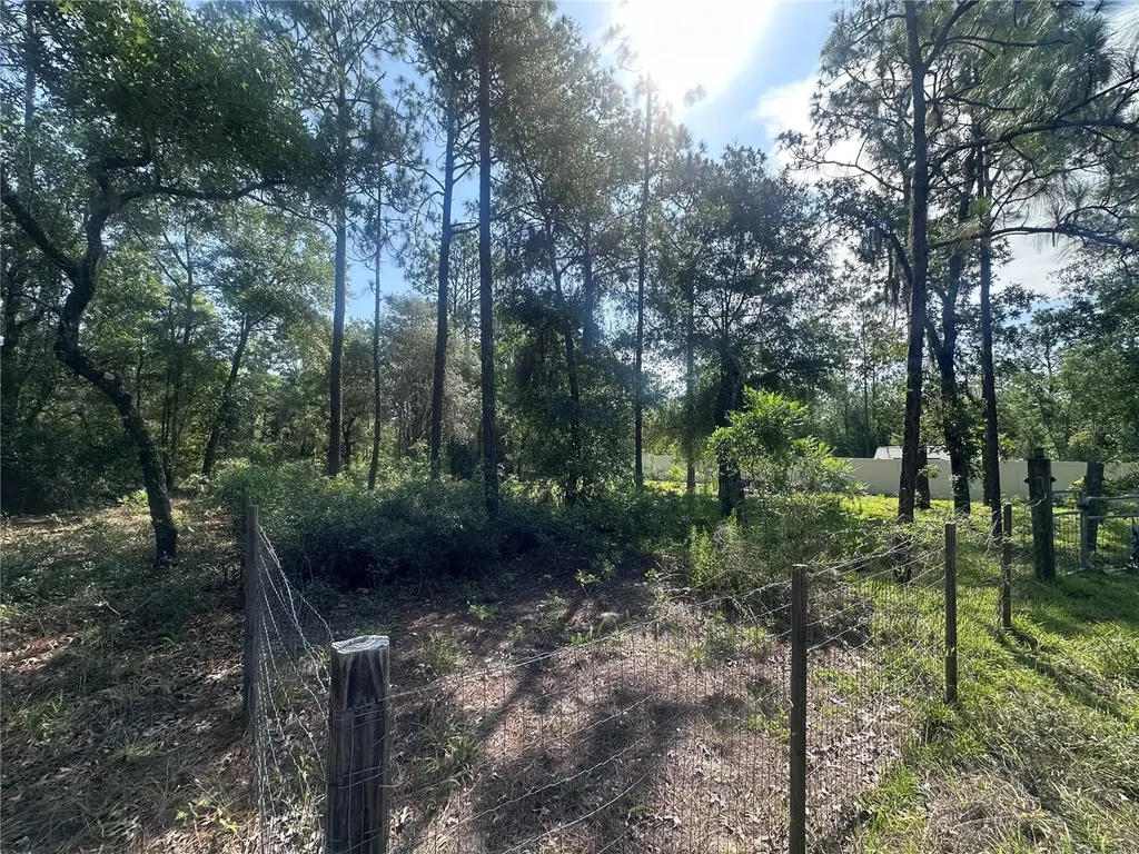 Tbd NE 3rd Place Williston FL 32696