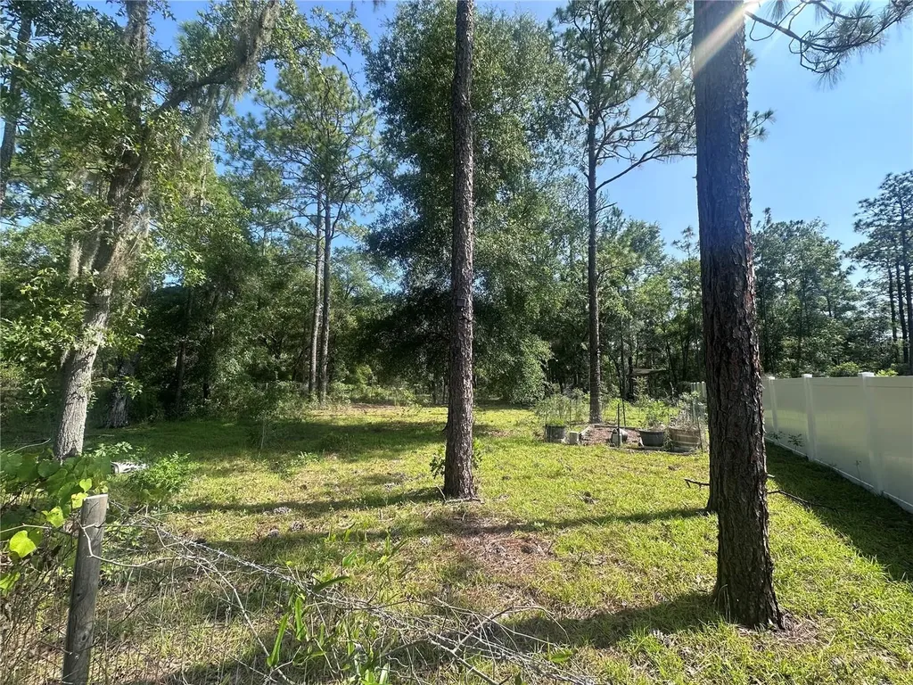 Tbd NE 3rd Place Williston FL 32696