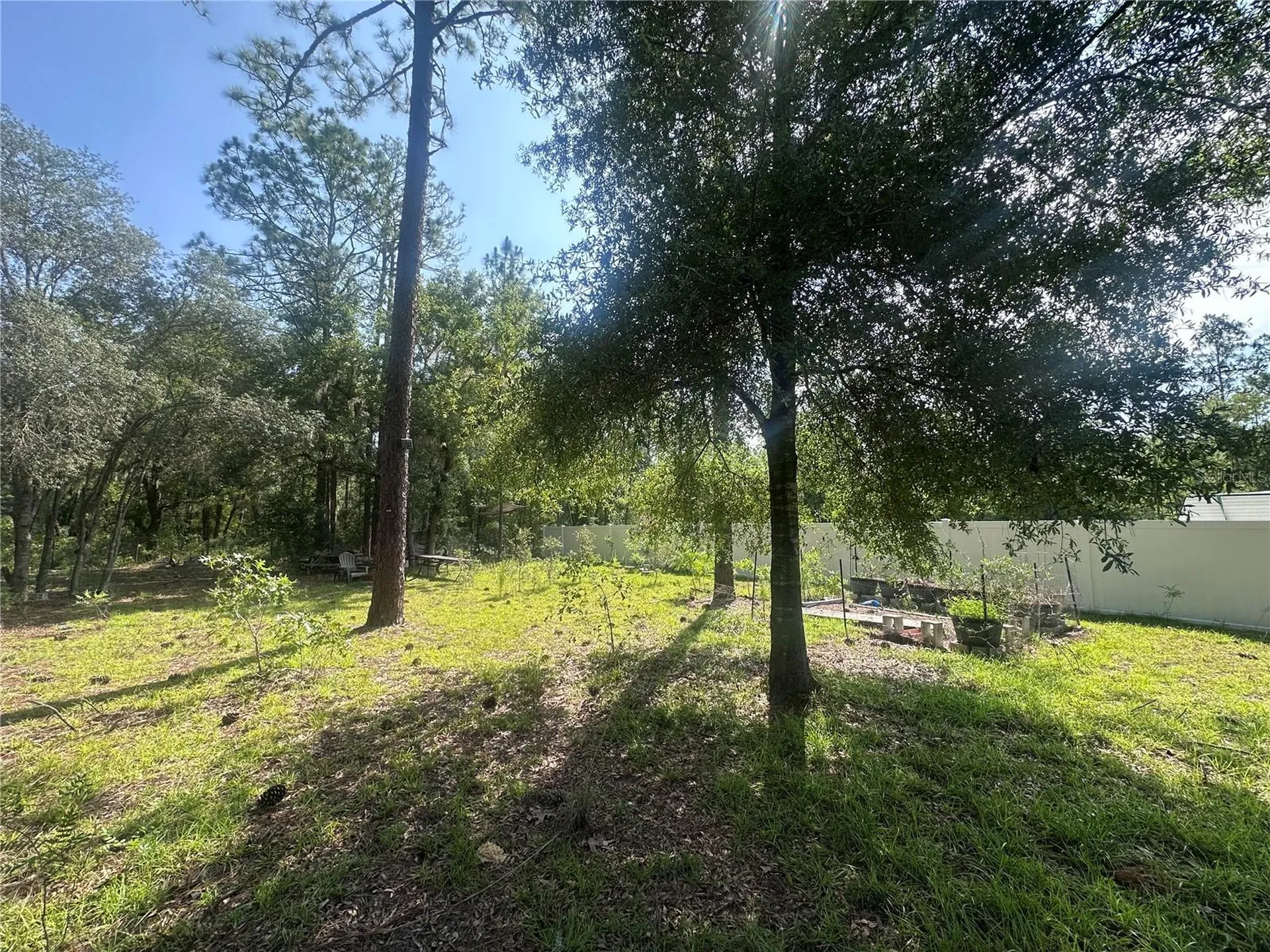 Tbd NE 3rd Place Williston FL 32696