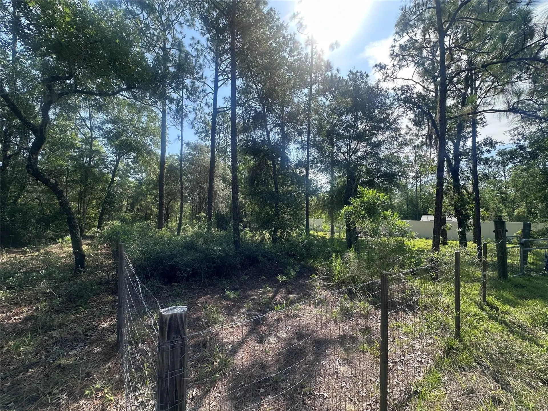 Tbd NE 3rd Place Williston FL 32696