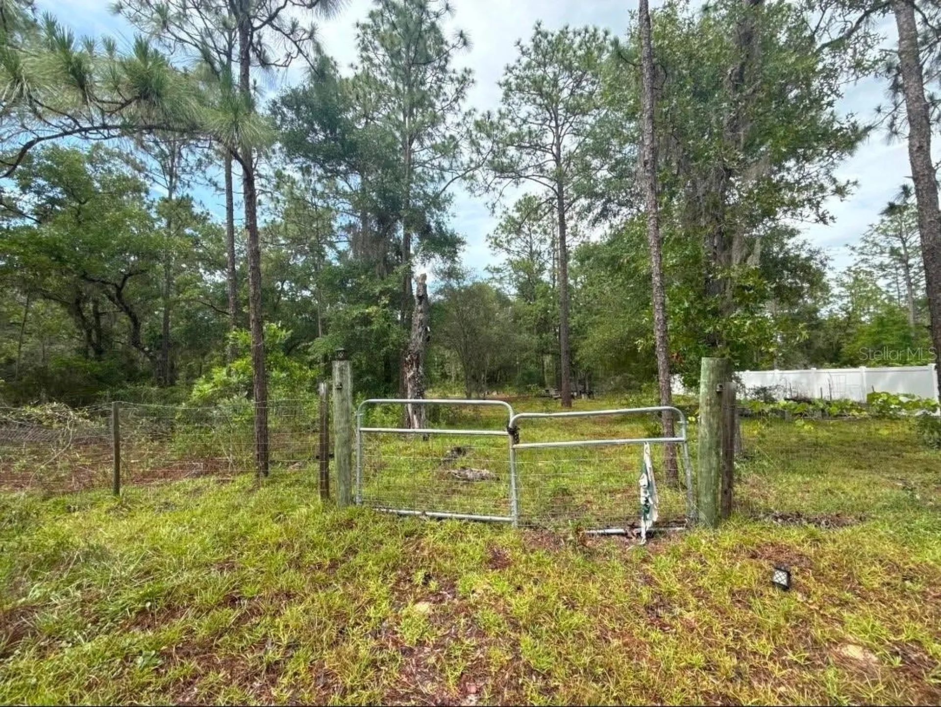 Tbd NE 3rd Place Williston FL 32696