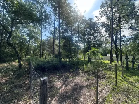 Tbd NE 3rd Place Williston FL 32696
