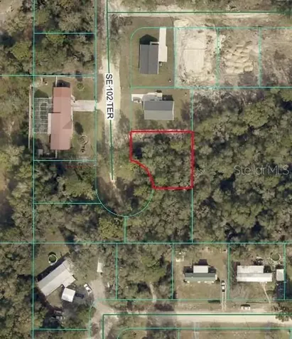 SE 102nd Terrace Ocklawaha FL 32179