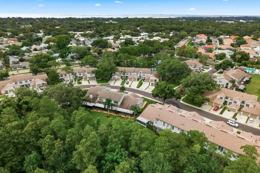 625 Quail Keep Drive Safety Harbor FL 34695