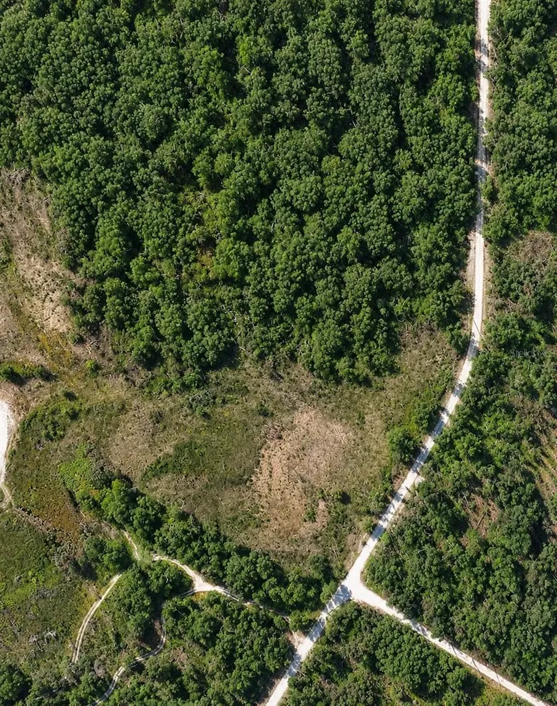 Coral Rock Drive Webster FL 33597