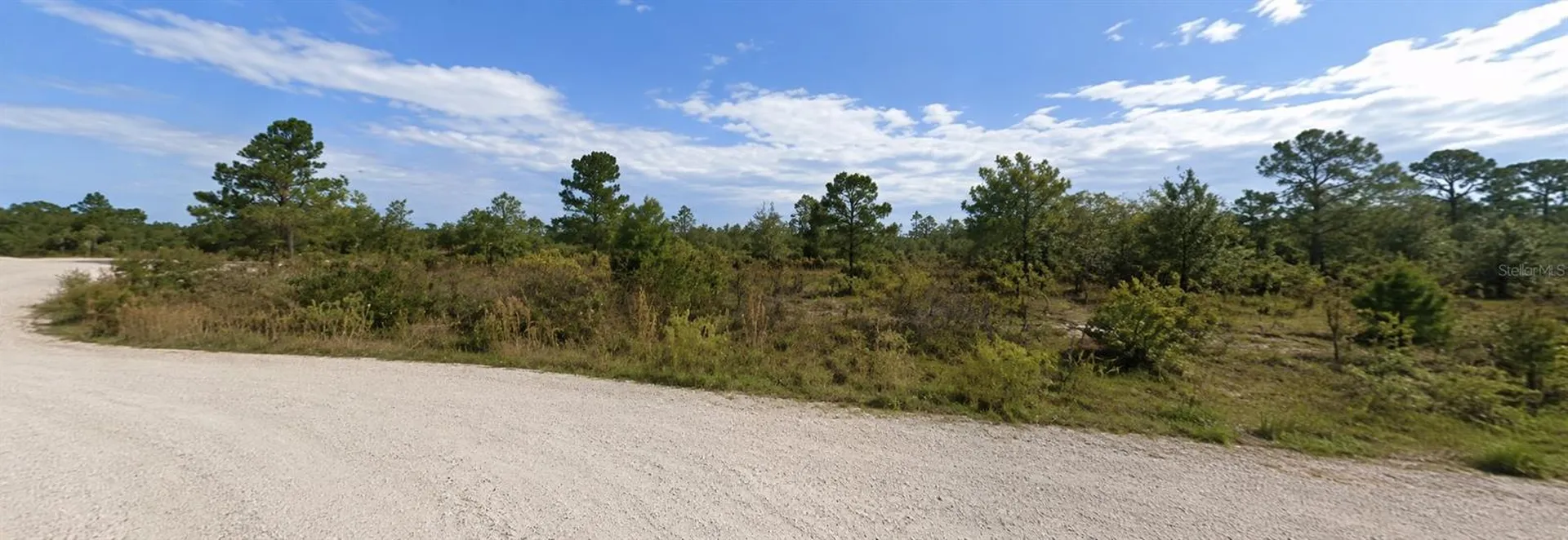 Coral Rock Drive Webster FL 33597