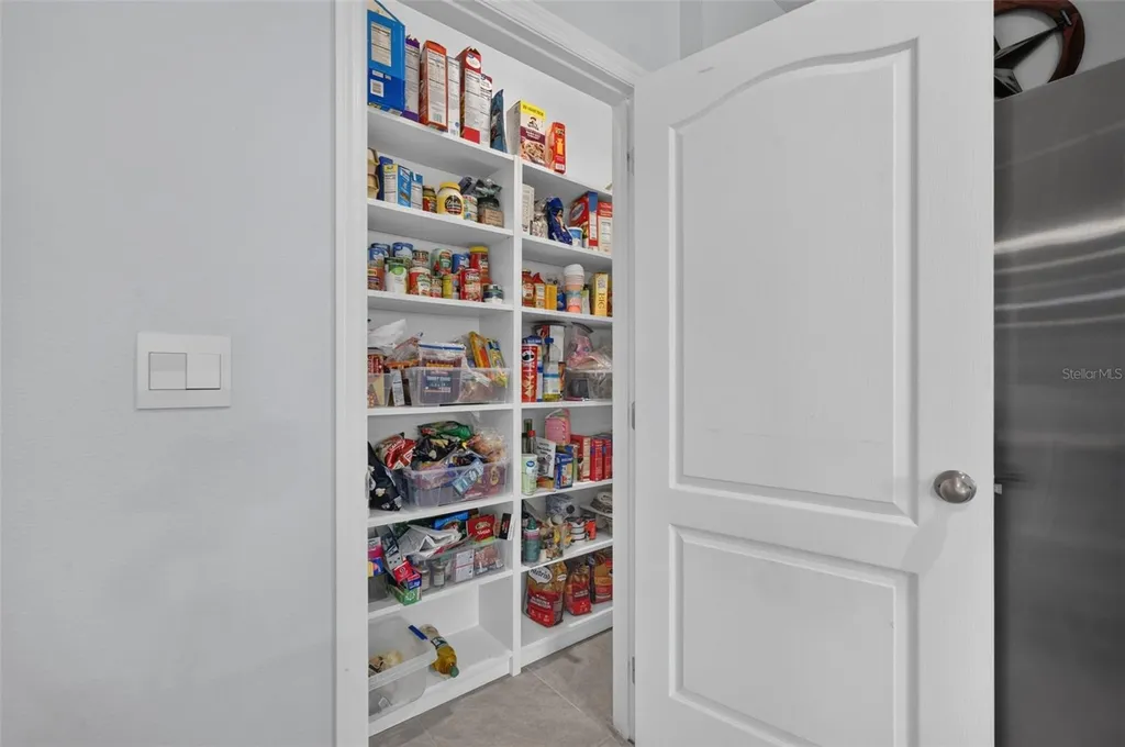 5264 Greenheart Avenue Mount Dora FL 32757