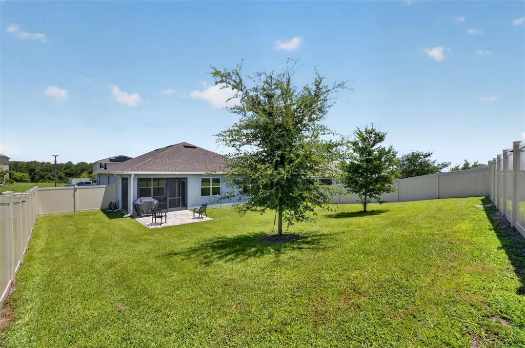 5264 Greenheart Avenue Mount Dora FL 32757