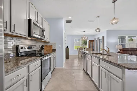 5264 Greenheart Avenue Mount Dora FL 32757
