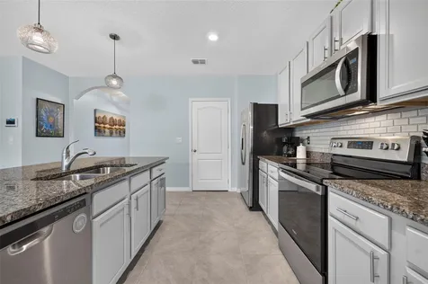 5264 Greenheart Avenue Mount Dora FL 32757