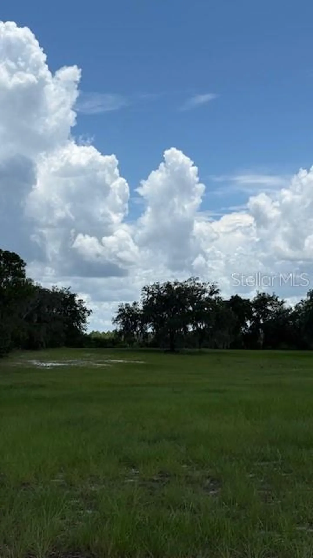 8881 Deer Run Drive Lake Wales FL 33898