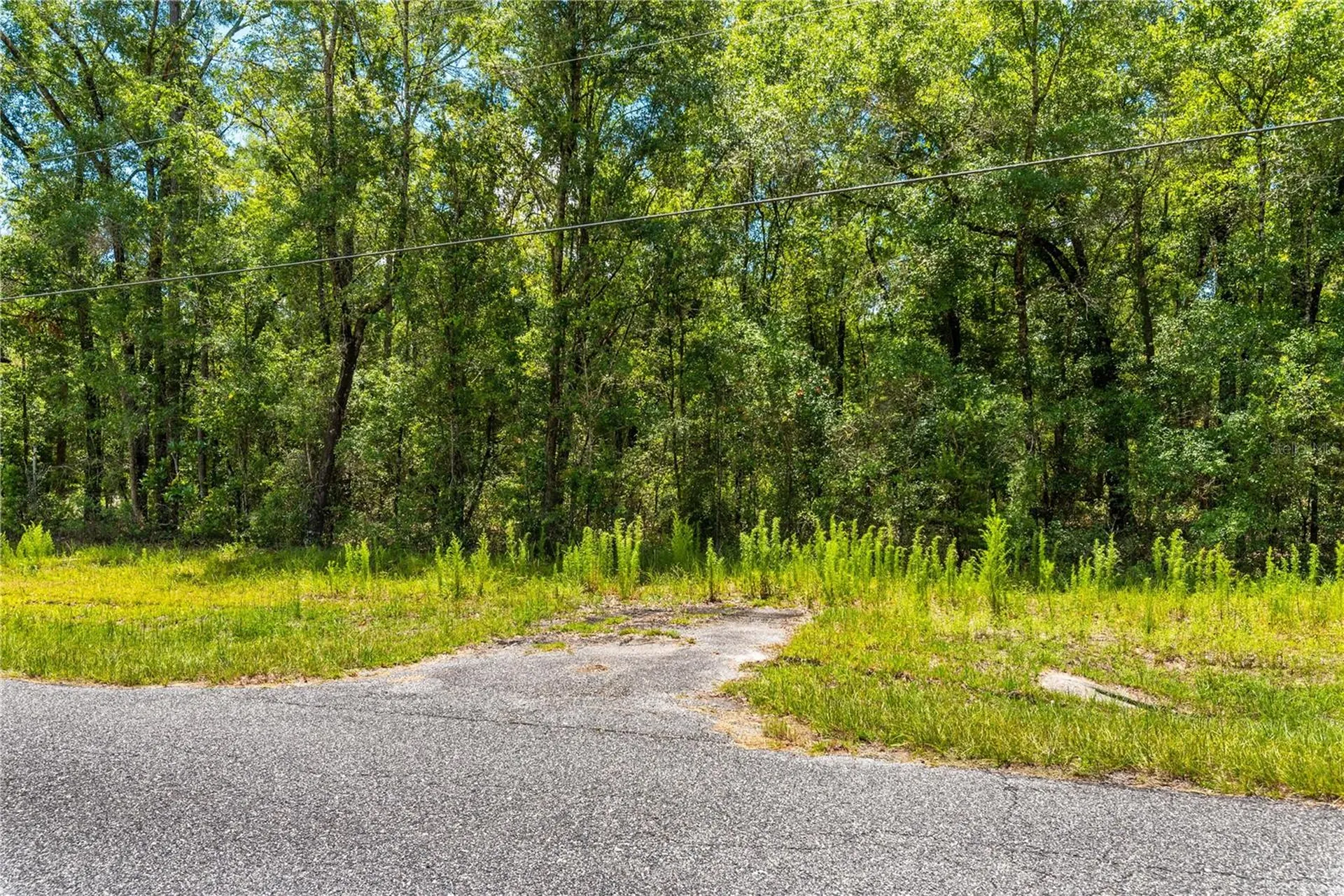 Lot 5 SW Meadowlands Drive Lake City FL 32024