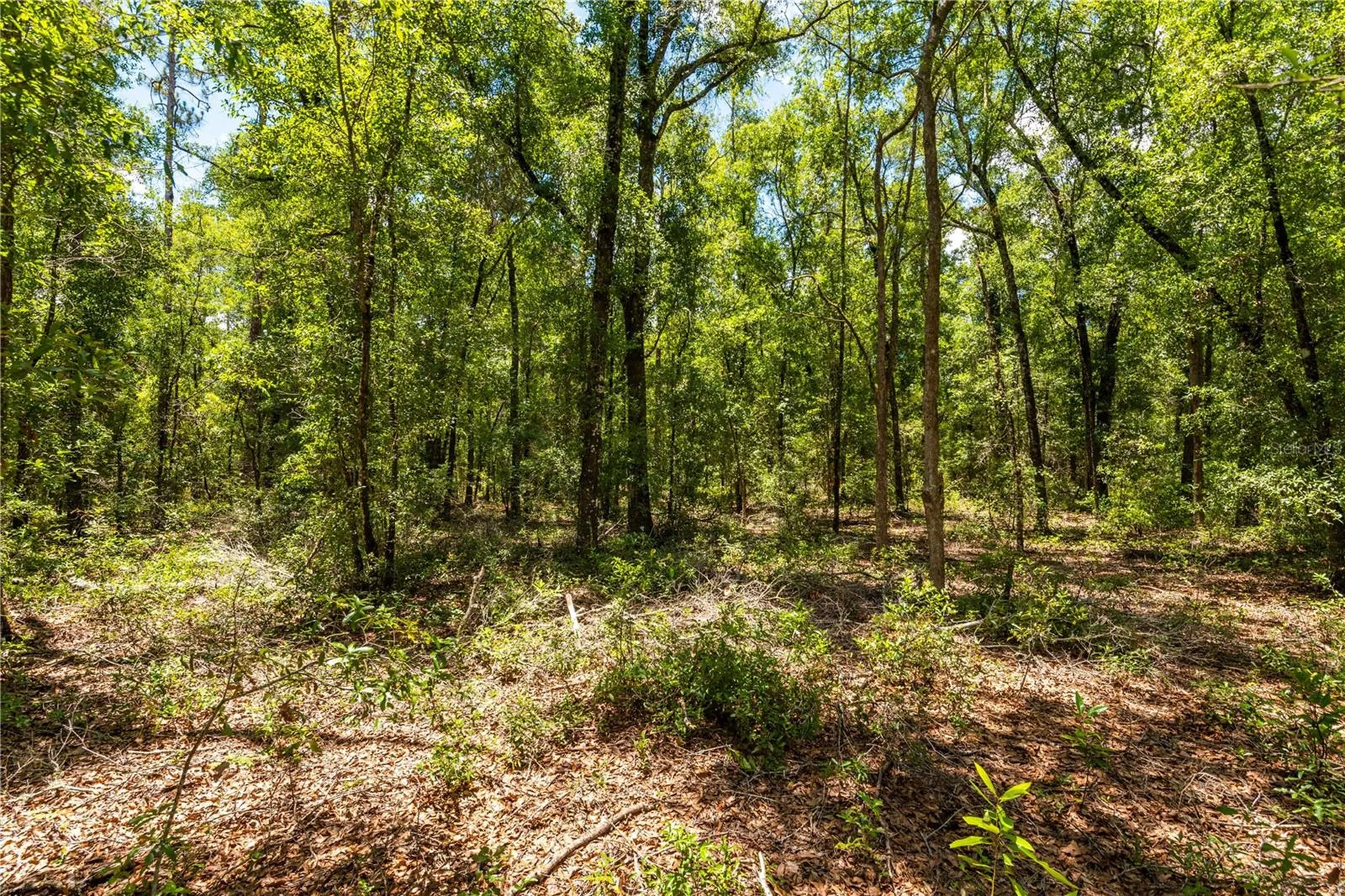 Lot 5 SW Meadowlands Drive Lake City FL 32024