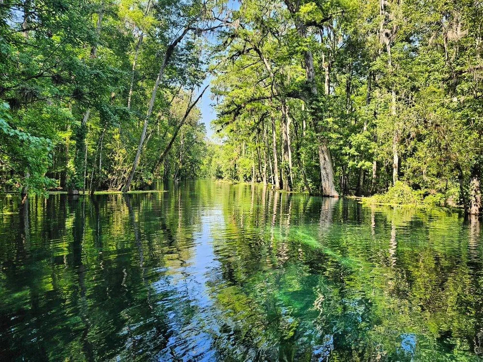 Lot 5 SW Meadowlands Drive Lake City FL 32024