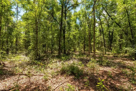 Lot 5 SW Meadowlands Drive Lake City FL 32024