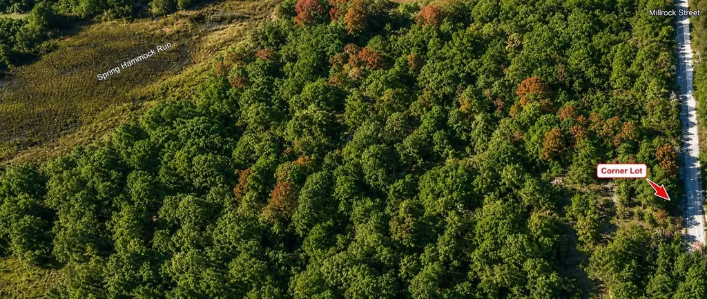 Millrock Street Webster FL 33597