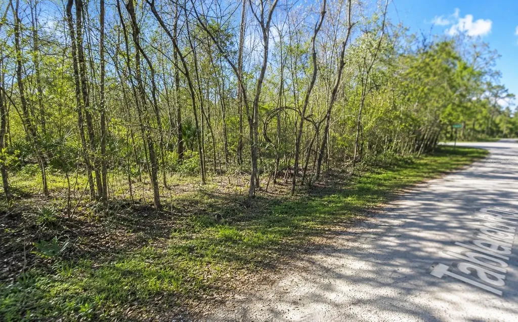 Millrock Street Webster FL 33597