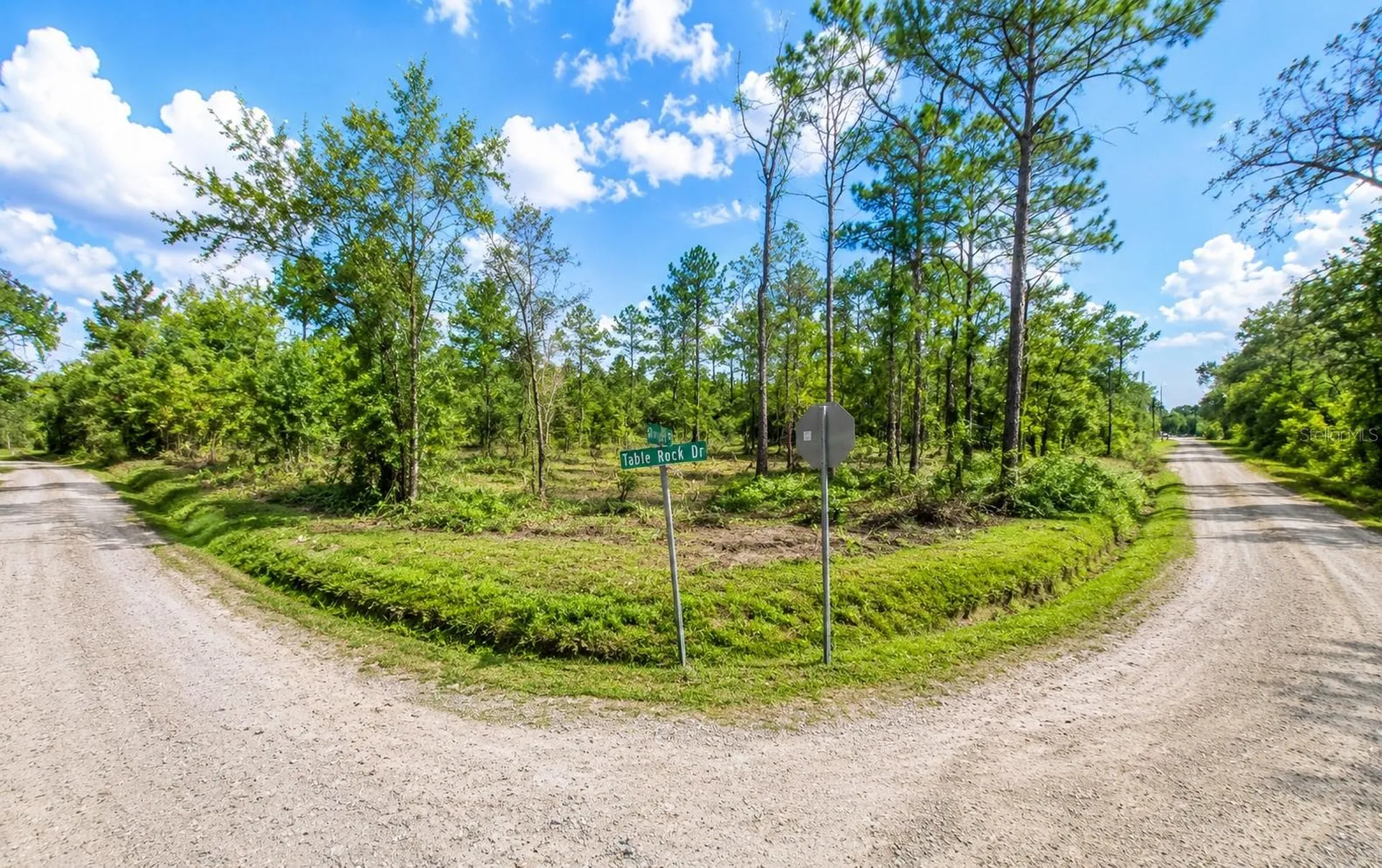 Millrock Street Webster FL 33597