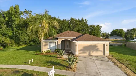 30830 Sade Court Wesley Chapel FL 33545