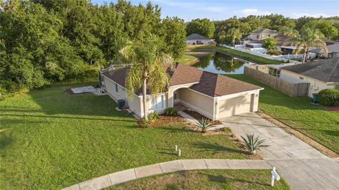 30830 Sade Court Wesley Chapel FL 33545