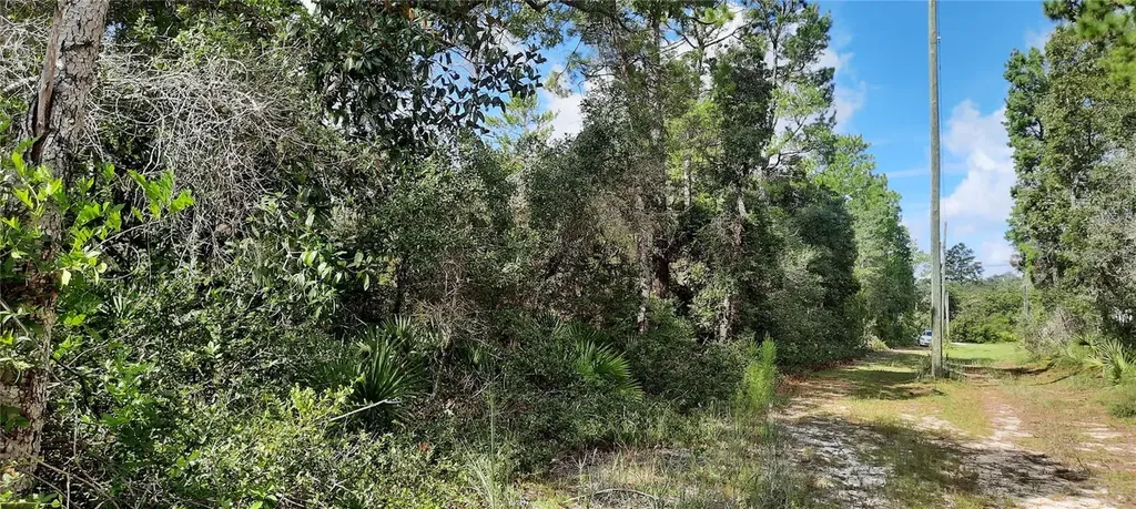 Tbd NE 201st Place Fort Mc Coy FL 32134