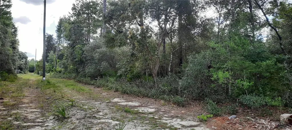 Tbd NE 201st Place Fort Mc Coy FL 32134