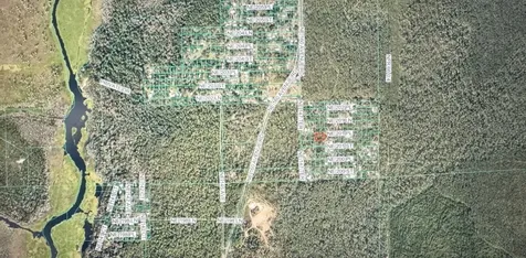 Tbd NE 201st Place Fort Mc Coy FL 32134
