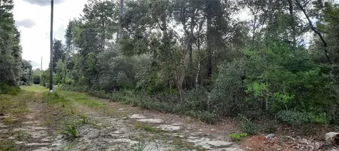 Tbd NE 201st Place Fort Mc Coy FL 32134