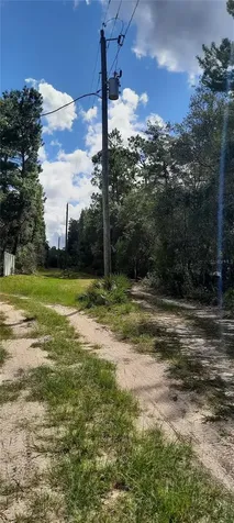 Tbd NE 201st Place Fort Mc Coy FL 32134