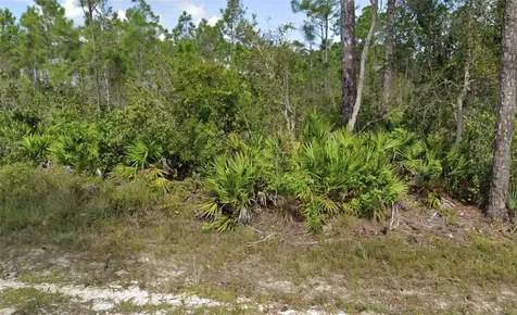 12067 Platano Drive Punta Gorda FL 33955