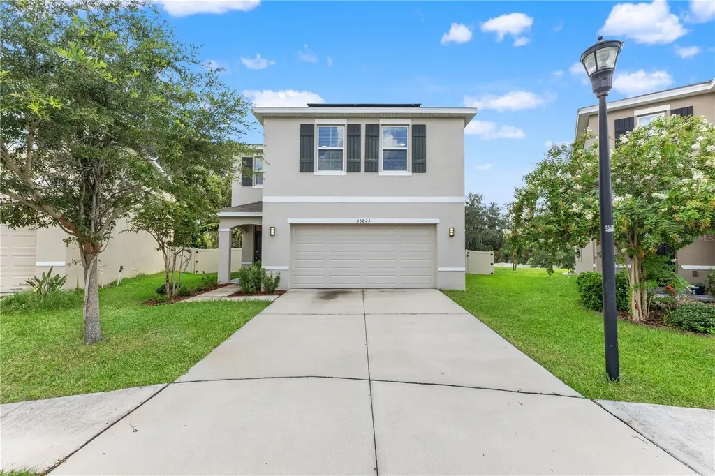 10823 Trailing Vine Drive Tampa FL 33610