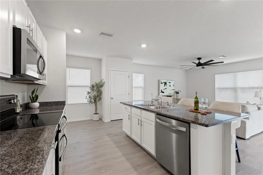 10823 Trailing Vine Drive Tampa FL 33610