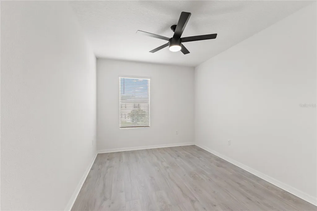 10823 Trailing Vine Drive Tampa FL 33610