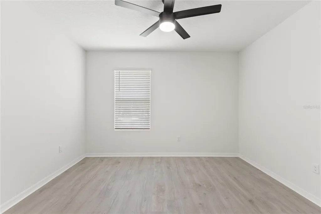 10823 Trailing Vine Drive Tampa FL 33610