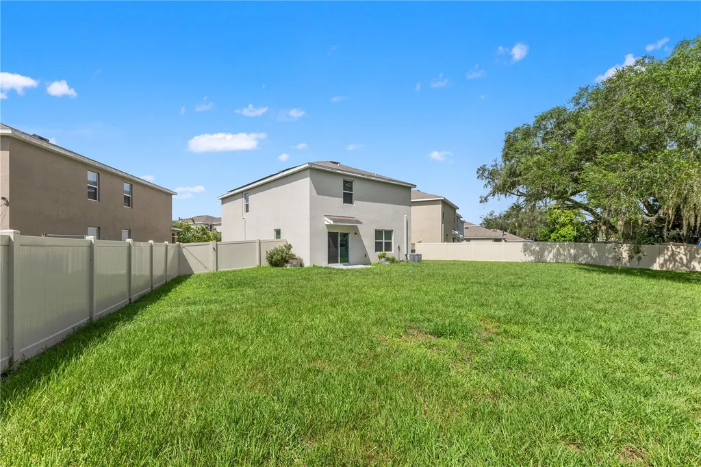 10823 Trailing Vine Drive Tampa FL 33610